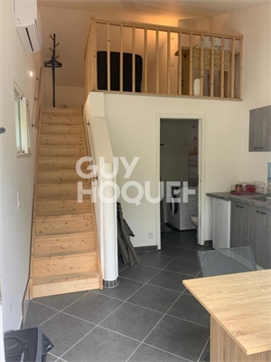 t1 bis à la location -   34680  SAINT GEORGES D ORQUES, surface 19 m2 location t1 bis - UBI482063198